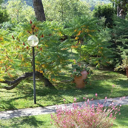 Holiday home Camaiani