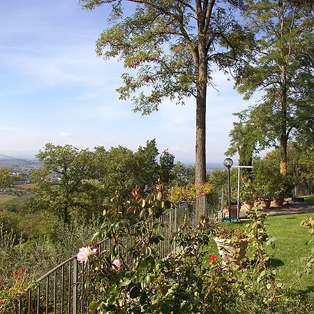 Camaiani